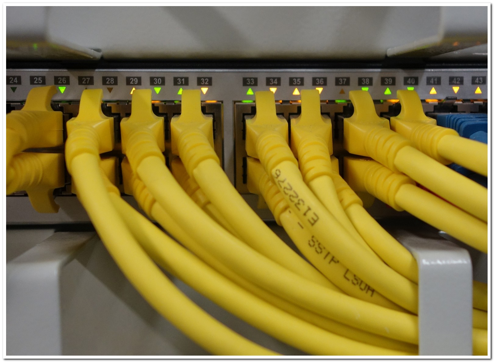 Structured network cabling